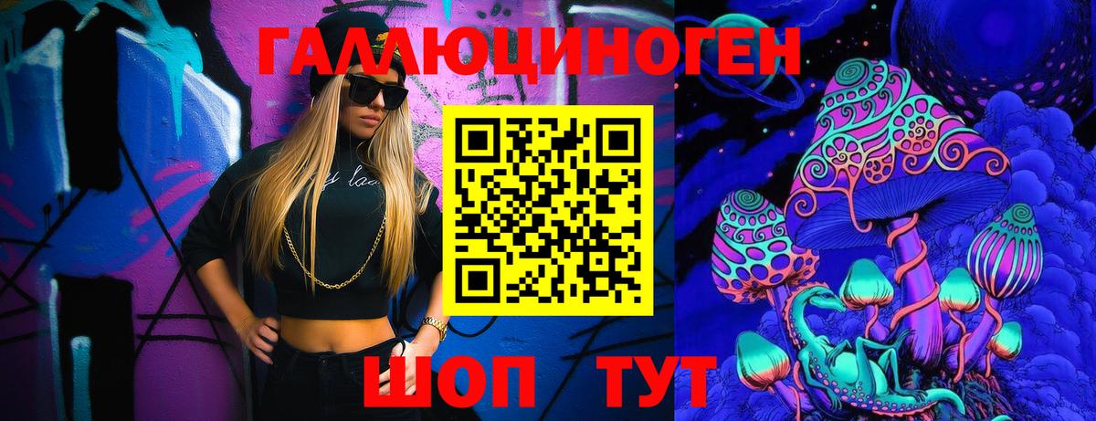 Галлюциногенные грибы Psilocybe Аша
