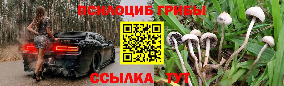 Галлюциногенные грибы Psilocybine cubensis  Вход с VPN  Галлюциногенные грибы GOLDEN TEACHER  Аша 