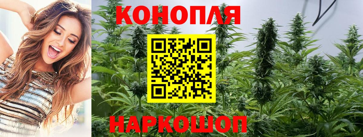 Бошки марихуана планчик Аша